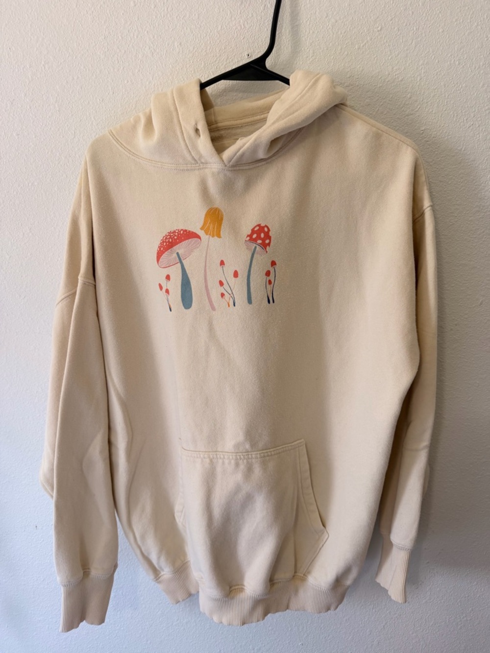 American Eagle Outfitters Cream Pullover Hoodie